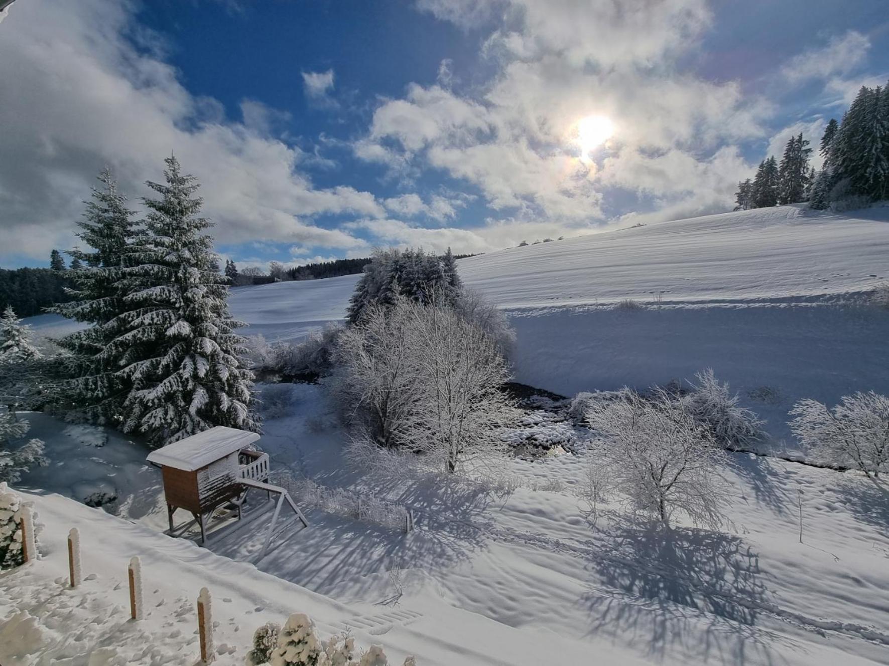 Ferienwohnung Am Bach Unterkirnach エクステリア 写真